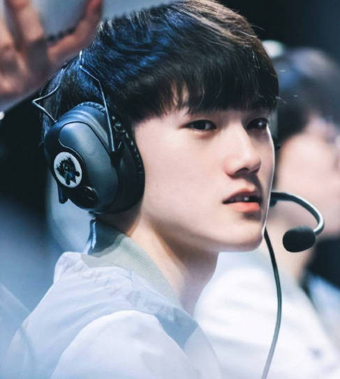 不仅增添了 不仅增添了